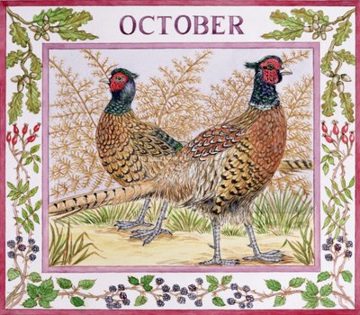 10月（紙にトイレ） 作： Catherine Bradbury