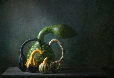 秋のひょうたん 静物画 作： Catherine Wang