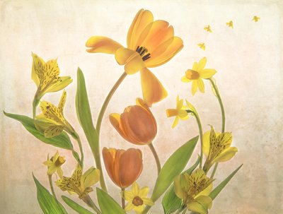 黄金の春の花 作： Catherine Wang