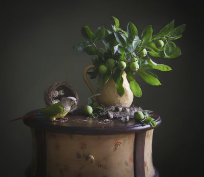 緑のオウムの静物画 作： Catherine Wang