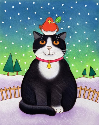 ロビンと猫（紙にトイレ） 作： Cathy Baxter