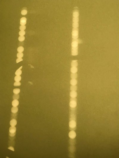 コンポジション - 光, 2019（写真） 作： Cécile Jamet