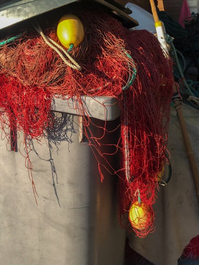構成 - ネッツ、2019年（写真） 作： Cécile Jamet