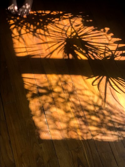 構図 - 影、2019年（写真） 作： Cécile Jamet