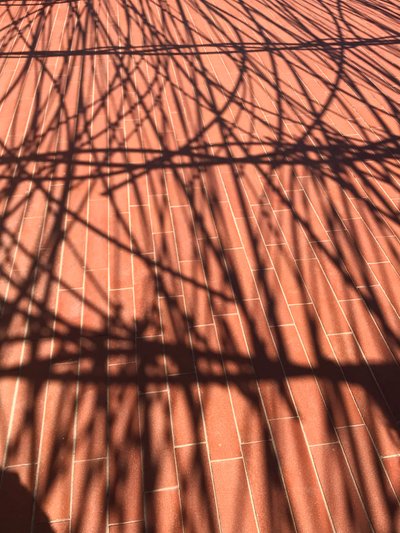コンポジション - 影, 2021（写真） 作： Cécile Jamet