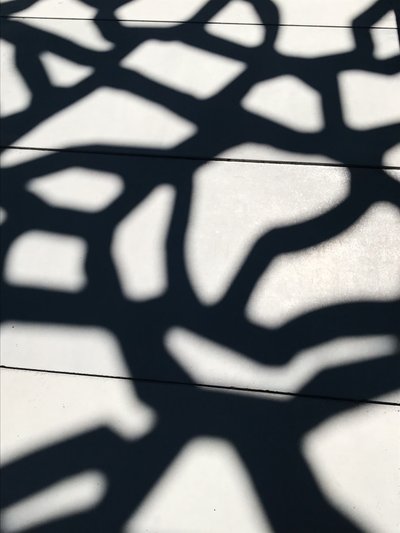 コンポジション - 影, 2021（写真） 作： Cécile Jamet