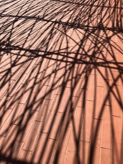コンポジション - 影, 2021（写真） 作： Cécile Jamet