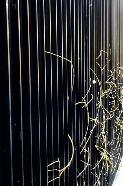 コンポジション - ストリート、2020年（写真） 作： Cécile Jamet