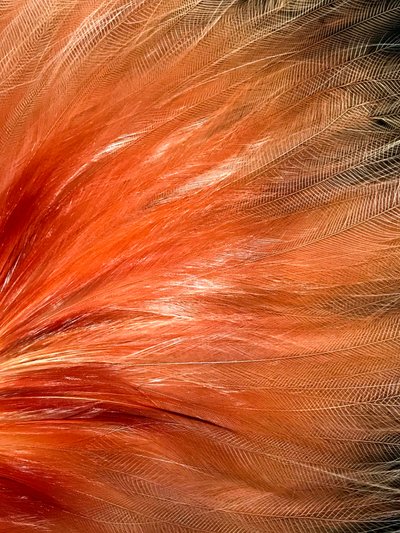 コンポジション - テクスチャー, 2019（写真） 作： Cécile Jamet