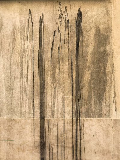 コンポジション - 質感、2020年（写真） 作： Cécile Jamet