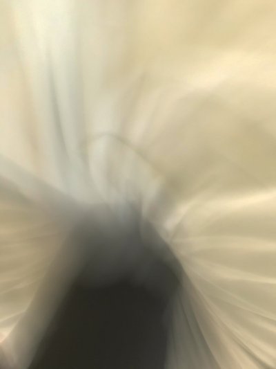 コンポジション、2021年（写真） 作： Cécile Jamet