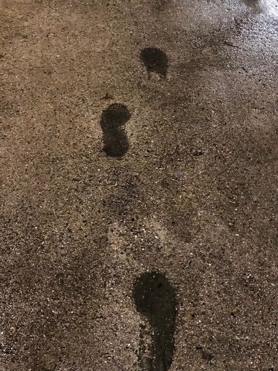 コンポジション、2021年（写真） 作： Cécile Jamet
