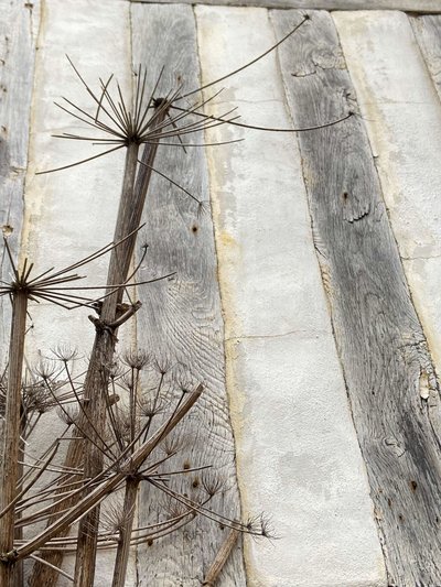 コンポジション, 建築 2022（写真） 作： Cécile Jamet