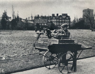 キューガーデンのジャガイモ、1941年 作： Cecil Beaton