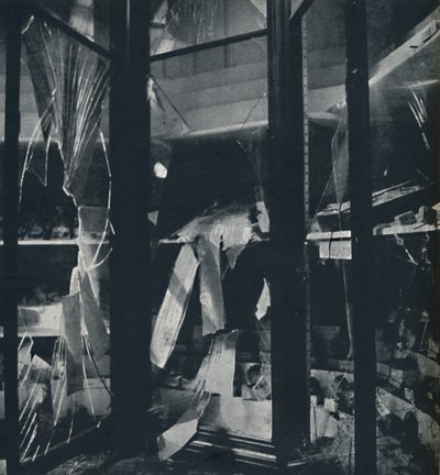 自然史博物館での事例を展示する、1941 作： Cecil Beaton