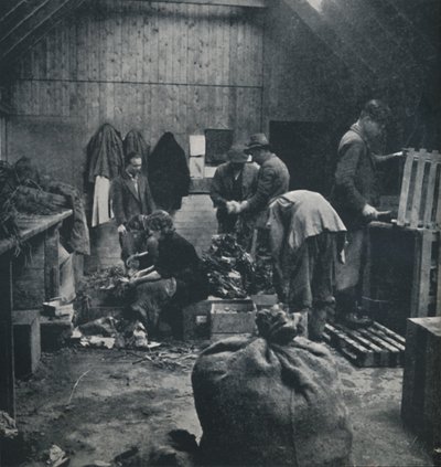 市場向け野菜、1941 作： Cecil Beaton