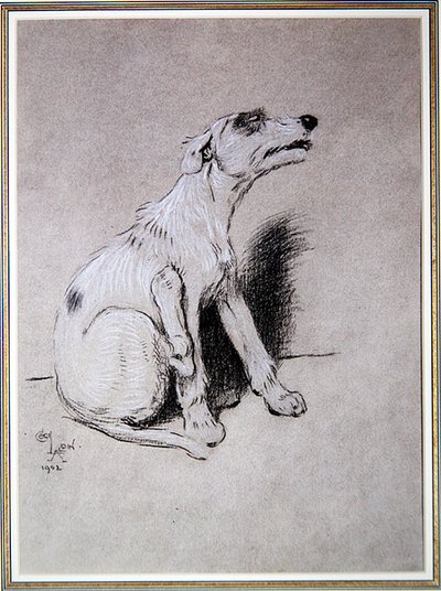 5:15 awakened by a bad attack of Eczema」、ウォルター・エマニュエル著「A Dog Day」のイラスト 作： Cecil Charles Windsor Aldin