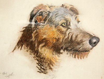 スコットランドの鹿の猟犬（パステル、色紙 作： Cecil Charles Windsor Aldin