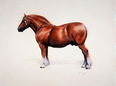 A champion Suffolk Punch（パステル、紙） 作： Cecil Charles Windsor Aldin