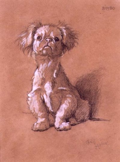 Bimbo（紙に鉛筆とガッシュで描いたもの 作： Cecil Charles Windsor Aldin