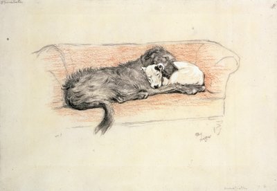 和解：ウルフハウンドとブルテリアがソファで寝ている（パステル・紙 作： Cecil Charles Windsor Aldin