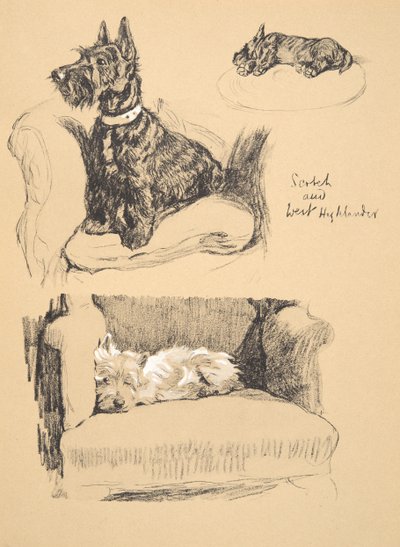 スコッチアンドウェストハイランダー、1930年、彼のスケッチブックのイラストはJust Among Friendsのアルディン、セシルチャールズウィンザー（1870-1935）に使用され、後にエアアンドスポットティスウッドリミテッド、1934年、チャルから出版 作： Cecil Charles Windsor Aldin