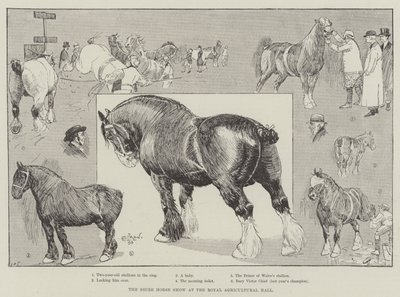 王立農業ホールでのシャイアホースショー 作： Cecil Charles Windsor Aldin