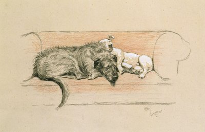 ソファで眠るウルフハウンドとブルテリア（紙にパステル 作： Cecil Charles Windsor Aldin