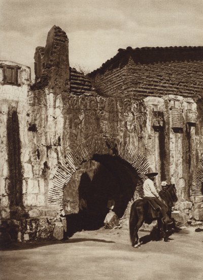 メキシコ: オアハカ、テベリア エスパニョーラ (白黒写真) 作： Cecile Seler Sachs