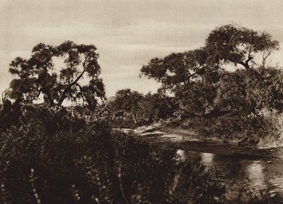 メキシコ: サカテカス、ラ ケマダ遺跡の近く (白黒写真) 作： Cecile Seler Sachs
