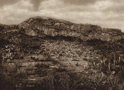 メキシコ: サカテカス、ラ ケマダの遺跡 (白黒写真) 作： Cecile Seler Sachs