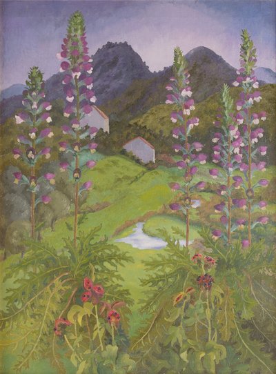 アカンサス 作： Cedric Morris