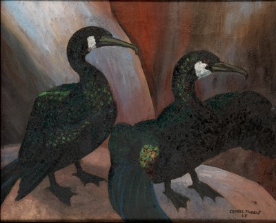 緑の鵜 作： Cedric Morris
