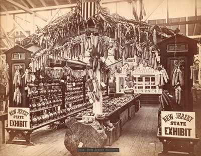 ニュージャージー州の製品 作： Centennial Photographic Co.