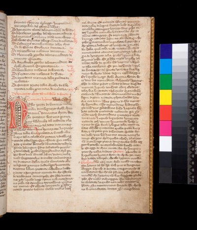 ミス148グレゴリウス大王『イタリア語によるダイアローグ』（ドメニコ・カヴァルカ訳） f.2r 赤インクの装飾文字[N]と茶インクのペンフリッシング 作： Central Italian School