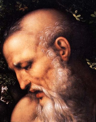 聖ジェローム、聖人の頭部のディテール（パネルに油彩）（112517のディテール） 作： Cesare da Sesto