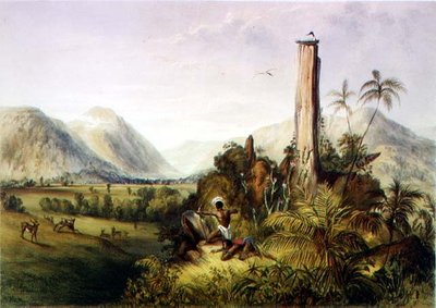ギアナの玄武岩であるピュアピアパ。Paul Gauci (fl.1834-67) が彫った「Guiana Interior Views」より。 作： Charles (after) Bentley