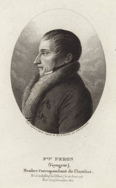 フランソワ・ペロン 作： Charles Alexandre Lesueur