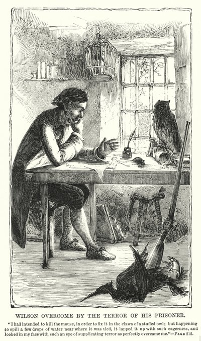 囚人の恐怖に打ちひしがれるウィルソン（版画 作： Charles Altamont Doyle
