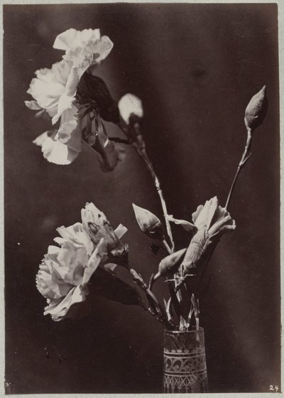 ガラスの花瓶を使った花の研究 作： Charles Aubry (manner of)