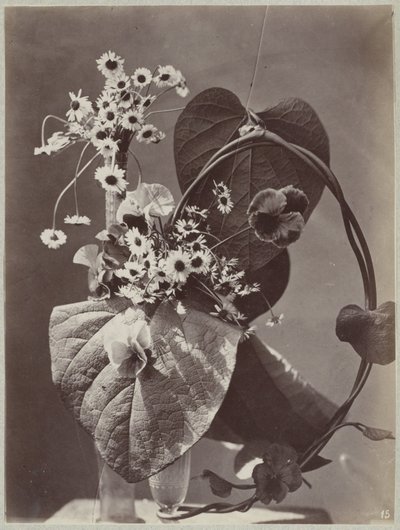 ガラスの花瓶を使った花の研究 作： Charles Aubry (manner of)