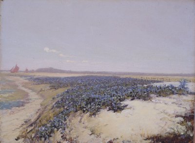 花に覆われた砂丘（油彩・キャンバス） 作： Charles Augustus Lasar