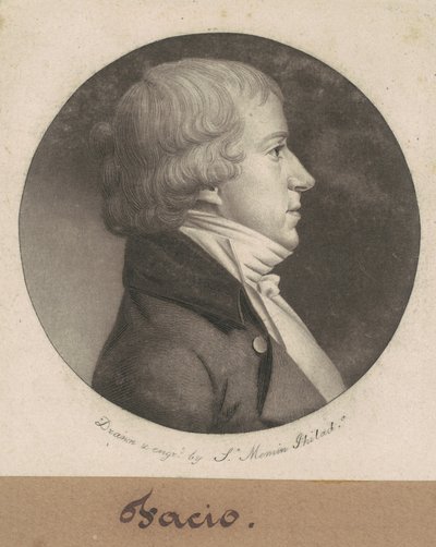 そうです 作： Charles B. J. Févret de Saint Mémin