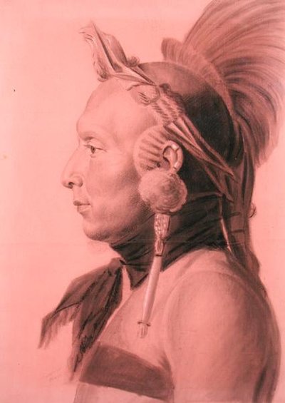 マンダン族の酋長、シャハカと思われるインディアンの肖像（色紙に鉛筆と木炭 作： Charles Balthazar Julien Févret de Saint Mémin