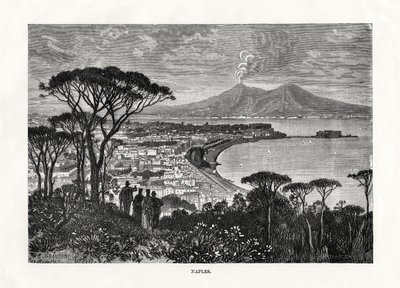 ナポリ、イタリア、1879 作： Charles Barbant