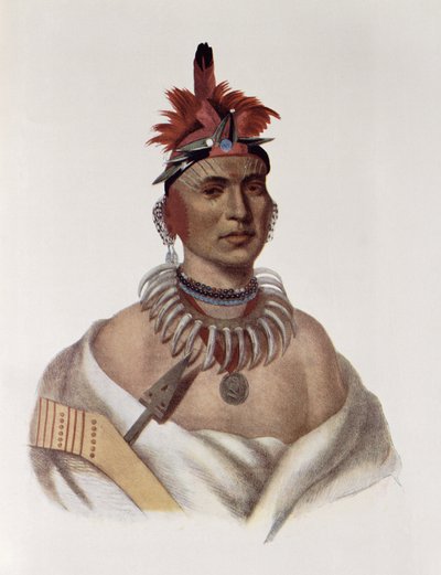 Chon-Ca-Peまたは「ビッグカンザス」、音頭、イラストは「The Indian Tribes of North America、Vol.1」（Thomas L. McKenneyとJames Hall、pub）によるイラスト。ジョン・グラント 作： Charles Bird King