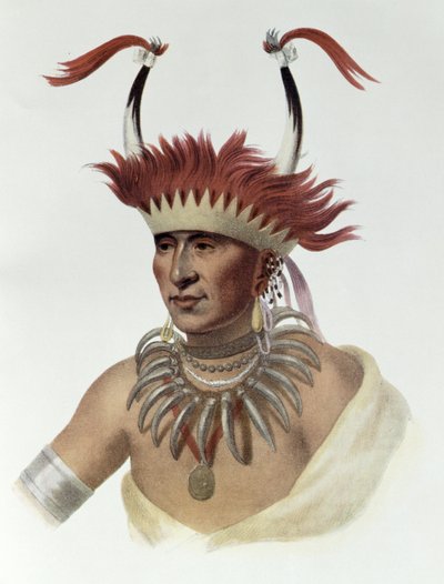 Chon-Mon-I-Caseまたは &39;L&39;Ietan&39;、Oto Half-chief、1821、illustration from &39;The Indian Tribes of North America、Vol.1&39;、Thomas L. McKenney and James Hall、pub。ジョン・グラント 作： Charles Bird King