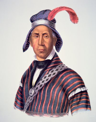 マッドウルフ」1825年（カラーリトグラフ 作： Charles Bird King