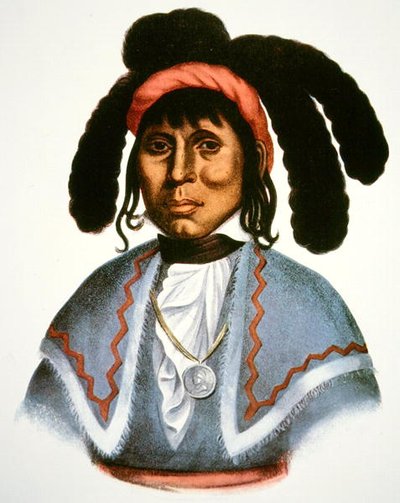 ミカノピー（1849年没） 1826年頃（カラーリトグラフ） 作： Charles Bird King