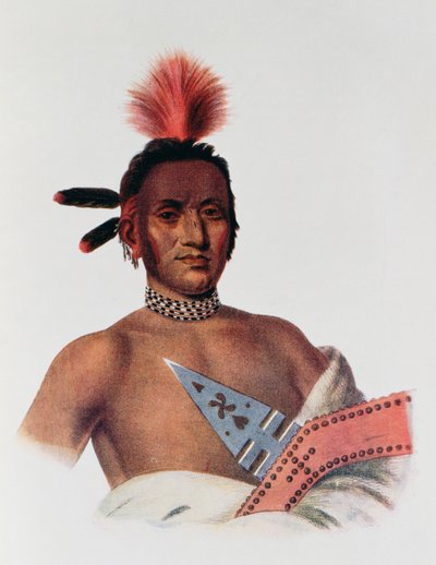 1824年、アイオワ州の首長、モアナホンガまたは「グレートウォーカー」のイラスト。ジョン・グラント 作： Charles Bird King